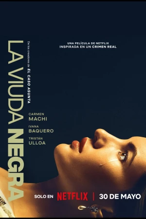 Trò Chơi Của Một Góa Phụ